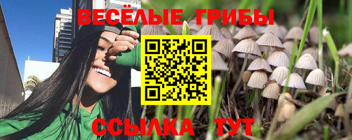Псилоцибиновые грибы ЛСД Саров