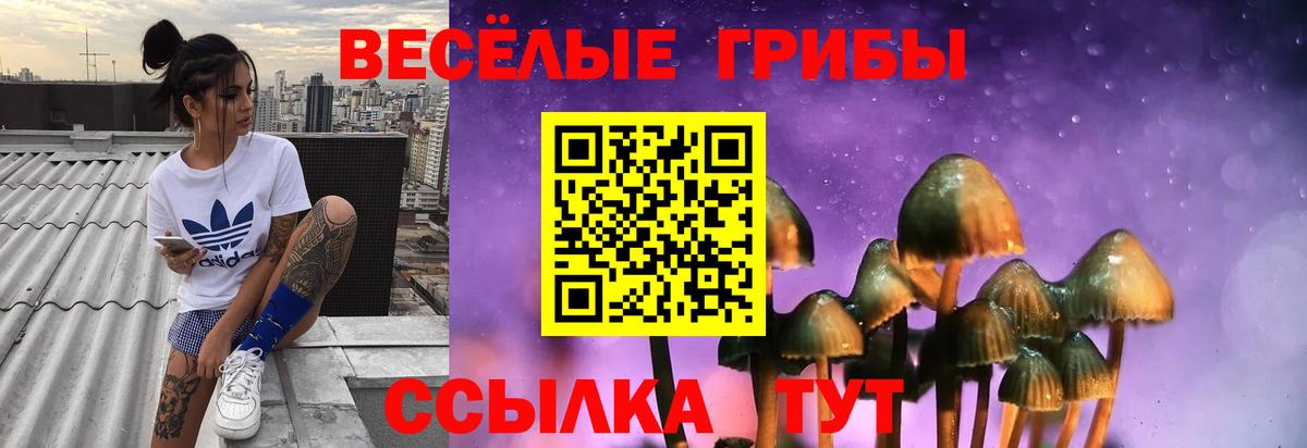 Саров  Галлюциногенные грибы Psilocybine cubensis  Вход с VPN 